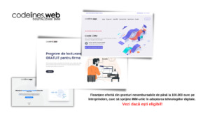 digitalizare imm